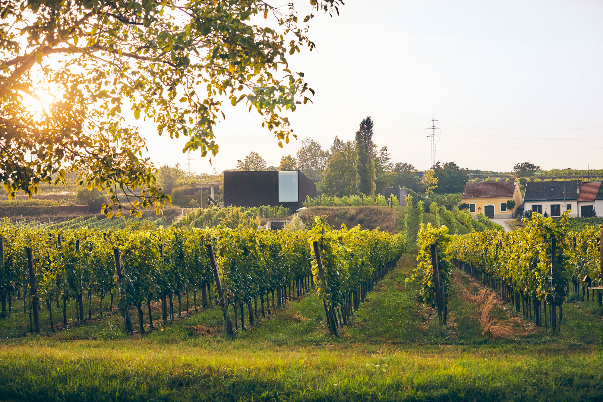 besetzung von die winzerin von langenlois
